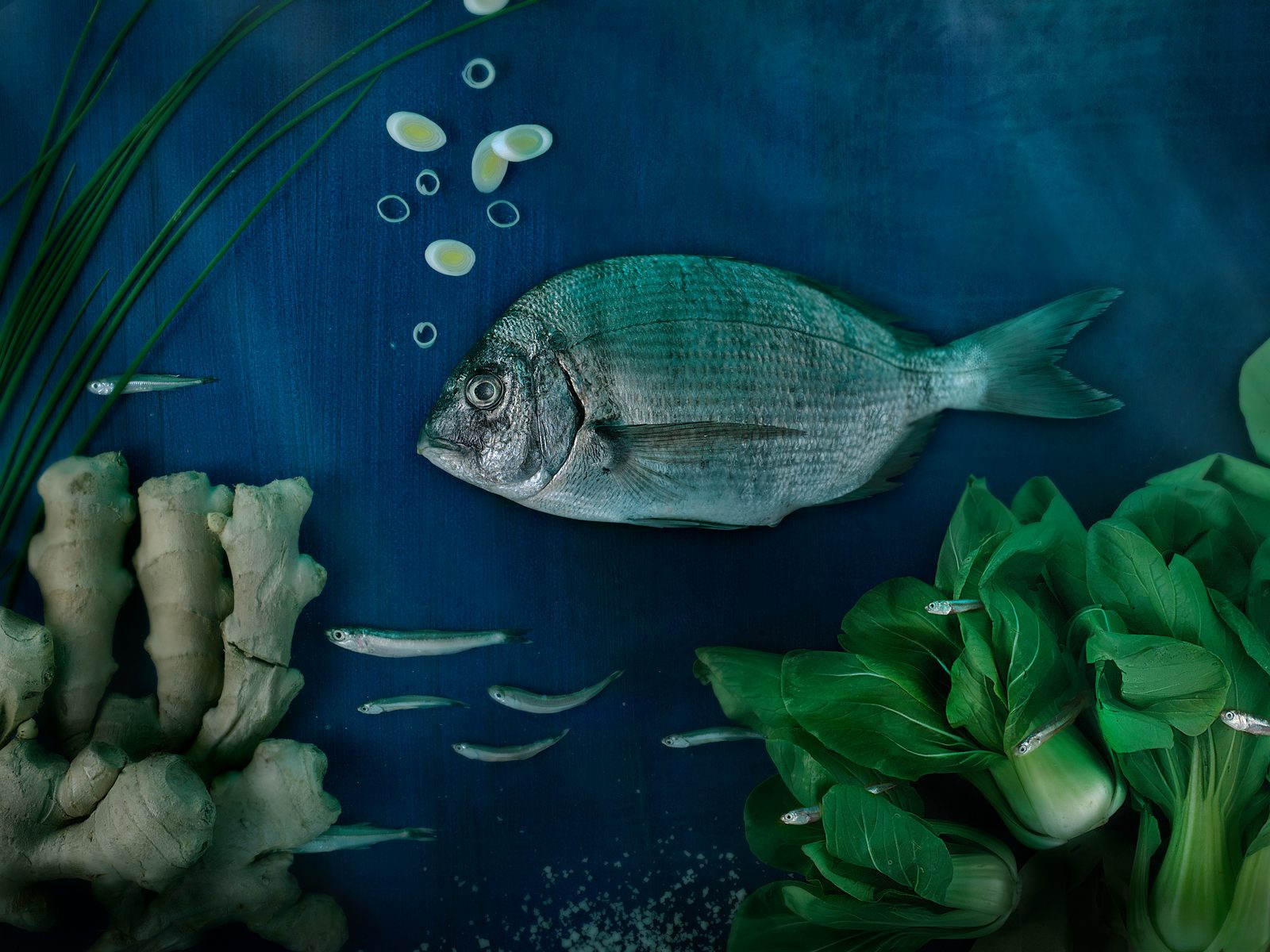 Food 04